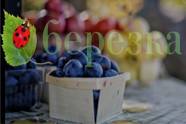 Бизнес-аналитика для сети "Березка" г. Ухта