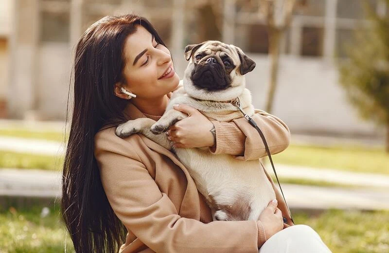 Доработка программного обеспечения для производства кормов животных ООО Форсаж, г. Москва